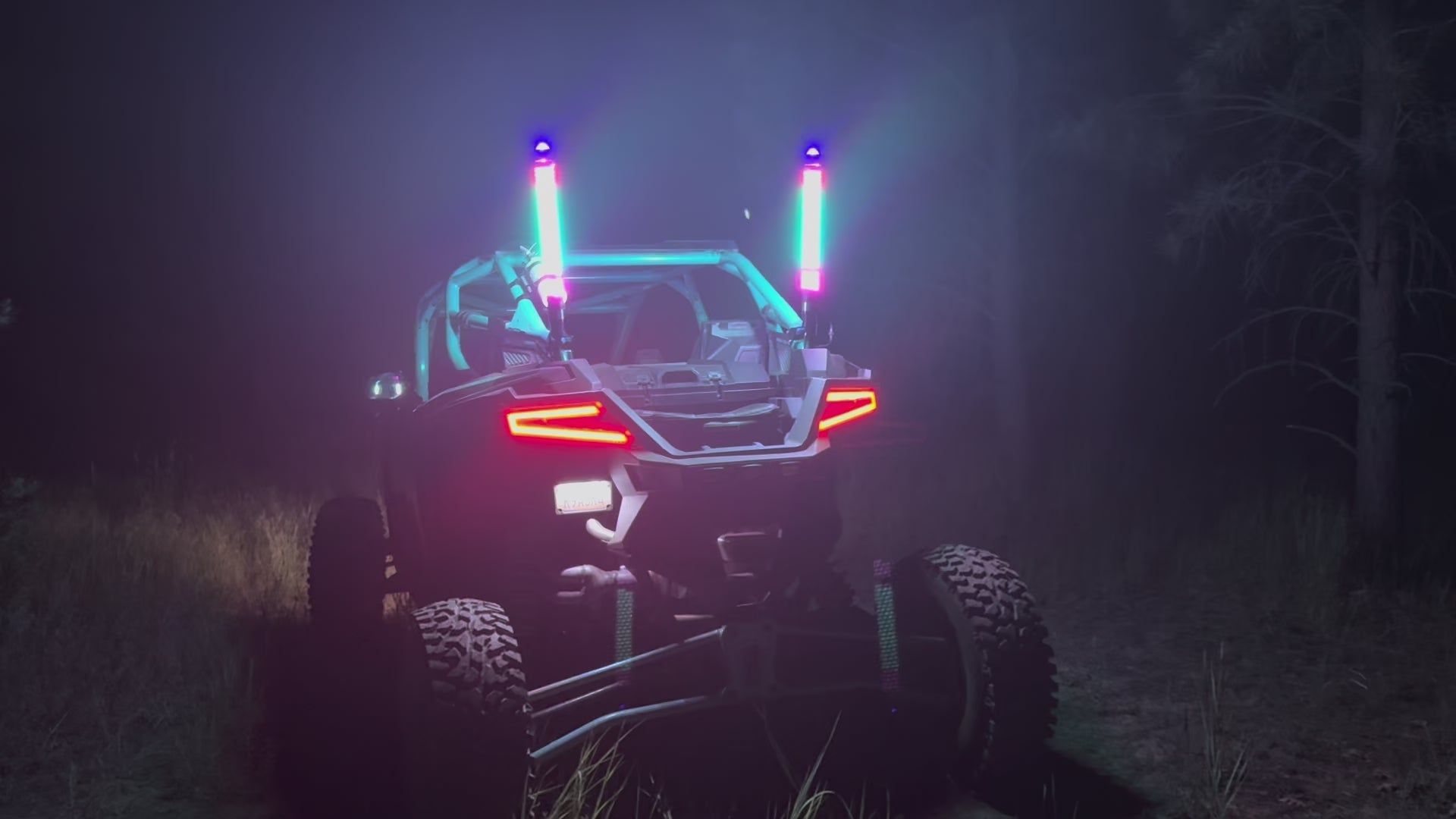 Rogue Terrain Hoss | 2-in-1 RGB Laser Whip Lights | 2FT